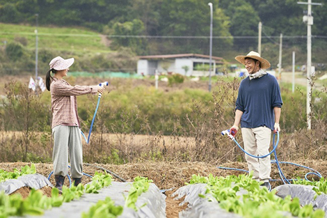 私の解放日誌