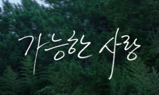 可能な愛,Netflix,映画